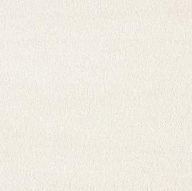 Ковровое покрытие AW SECRET 03 ширина 5 метров