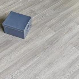 SPC ламинат Alpine Floor Intense Туманный лес Eco  9-4