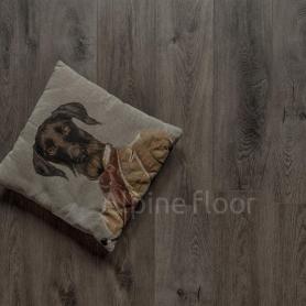SPC ламинат Alpine Floor Premium XL Дуб торфяной Eco  7-11