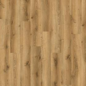 SPC ламинат IVC Adelar Solida 03826 Traditional Oak